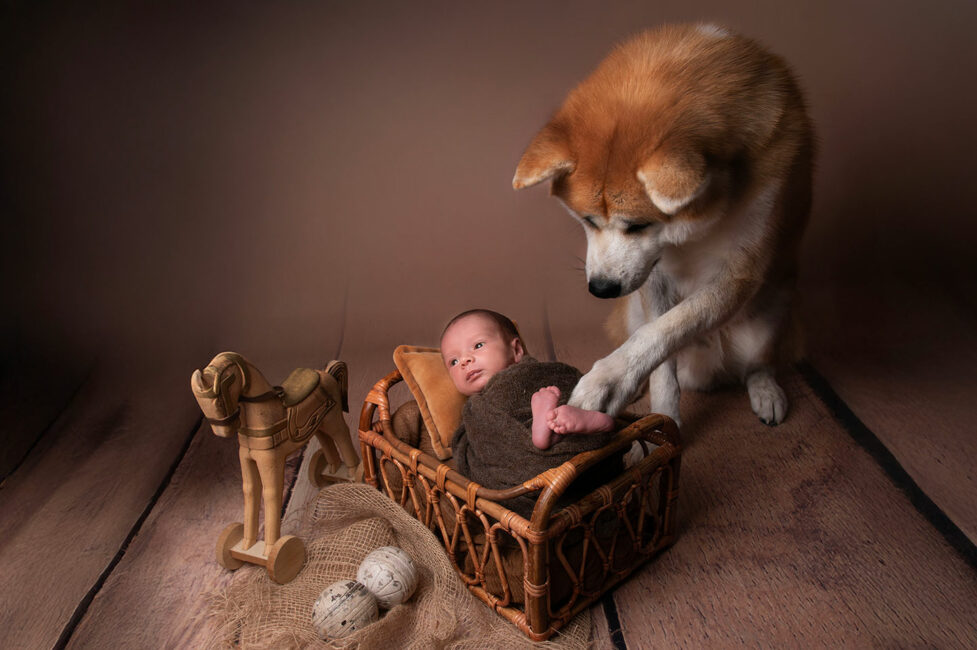 Photographe bébé à Saint-Quentin immortalisant des souvenirs tendres et authentiques avec sont amis à quatre pattes